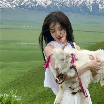 杰拉德历险记 在线观看